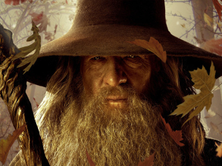 Gandalf screenshot #1 320x240