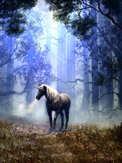 Обои Fantasy Horse 480x640