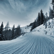 Screenshot №1 pro téma Winter Road 208x208