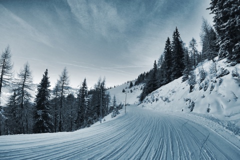 Screenshot №1 pro téma Winter Road 480x320