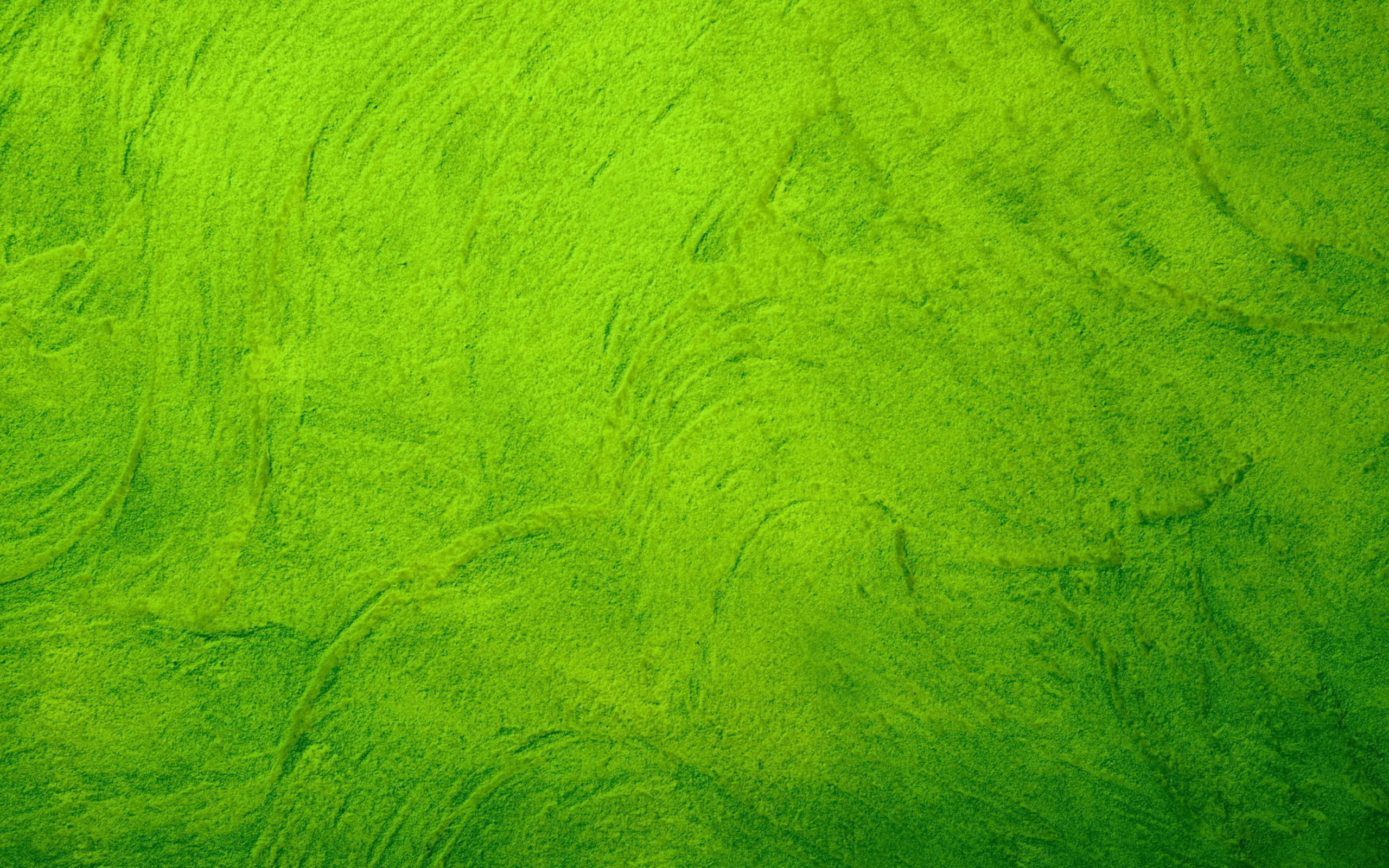 Обои Green pattern on paper 2560x1600