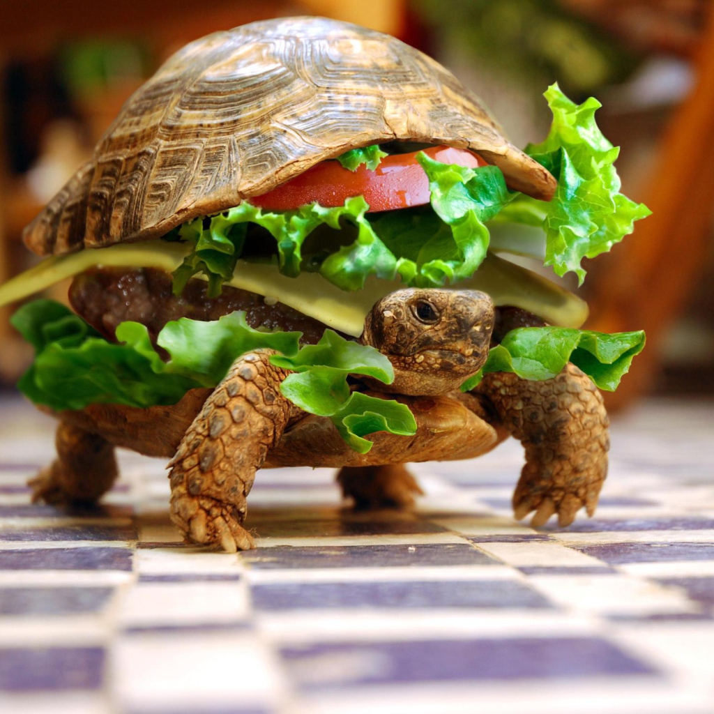 Das Turtle Burger Wallpaper 1024x1024