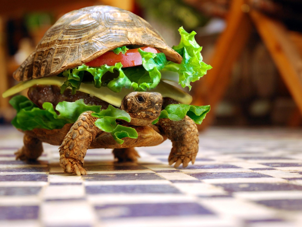 Обои Turtle Burger 1024x768