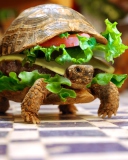 Turtle Burger screenshot #1 128x160