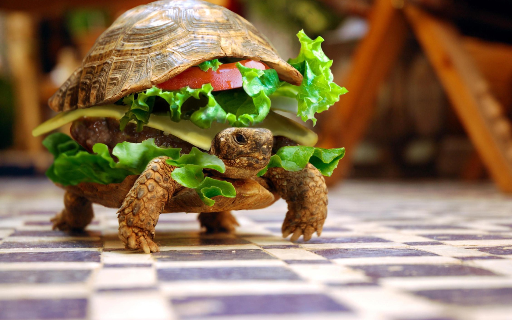 Fondo de pantalla Turtle Burger 1680x1050