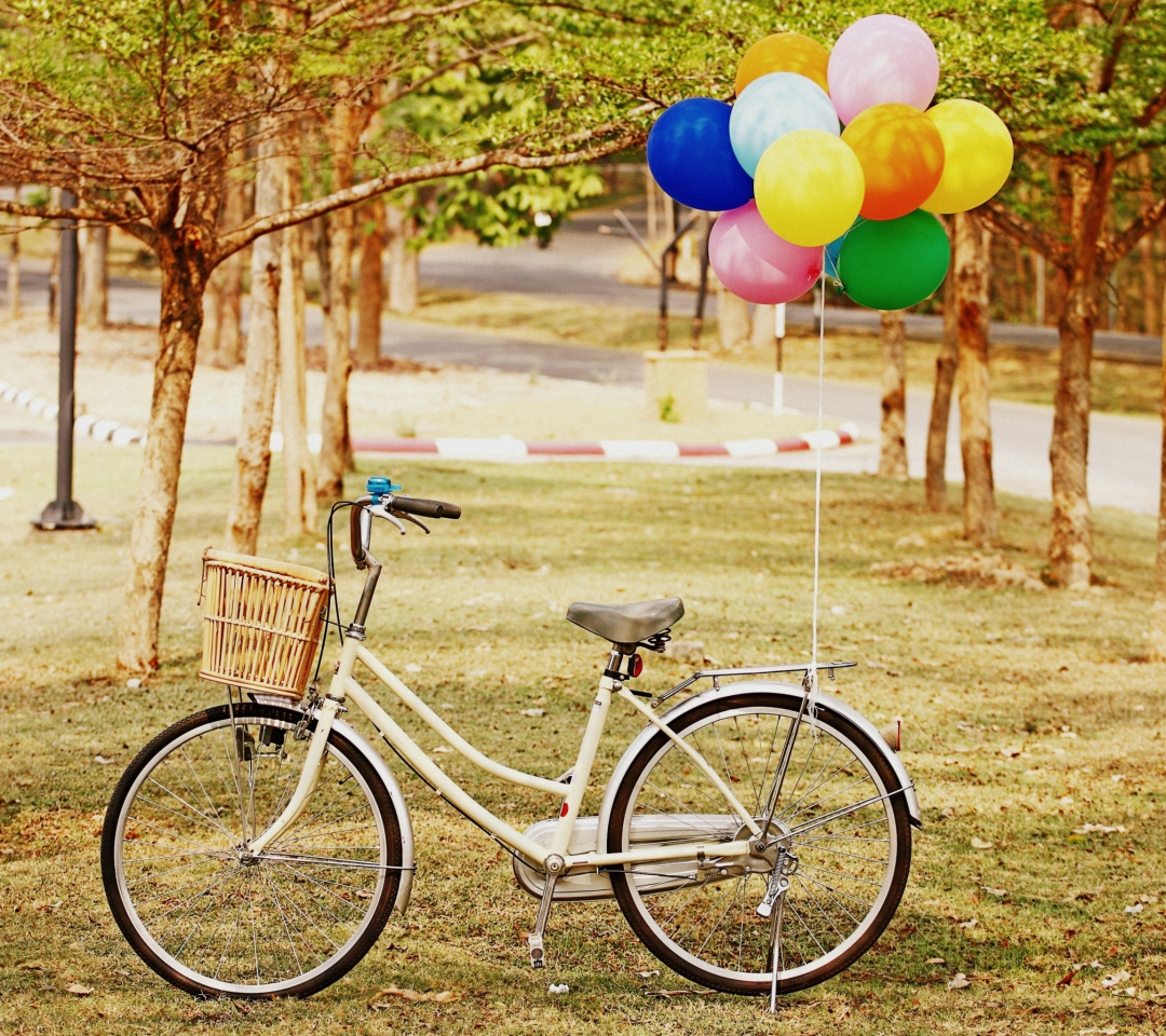 Fondo de pantalla Party Bicycle 1080x960