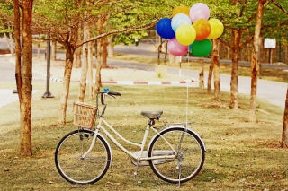 Party Bicycle - Obrázkek zdarma pro 320x240