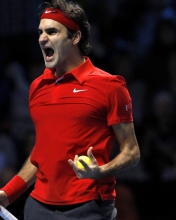 Обои Federer Roger 176x220