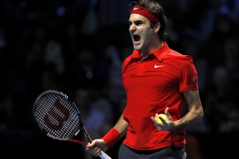 Screenshot №1 pro téma Federer Roger 480x320