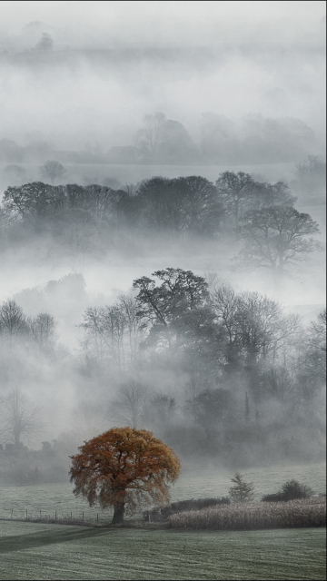 Das Fog In England Wallpaper 360x640