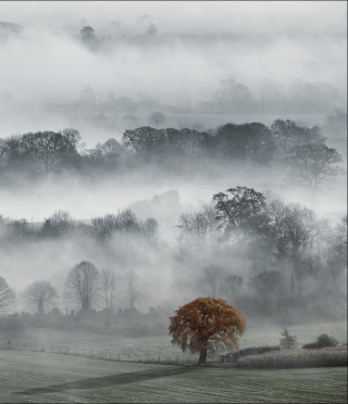 Fog In England - Obrázkek zdarma pro Nokia X7