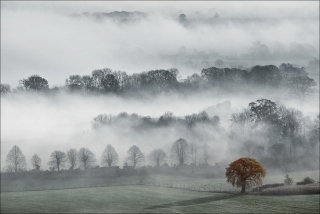 Fog In England - Obrázkek zdarma pro 480x320