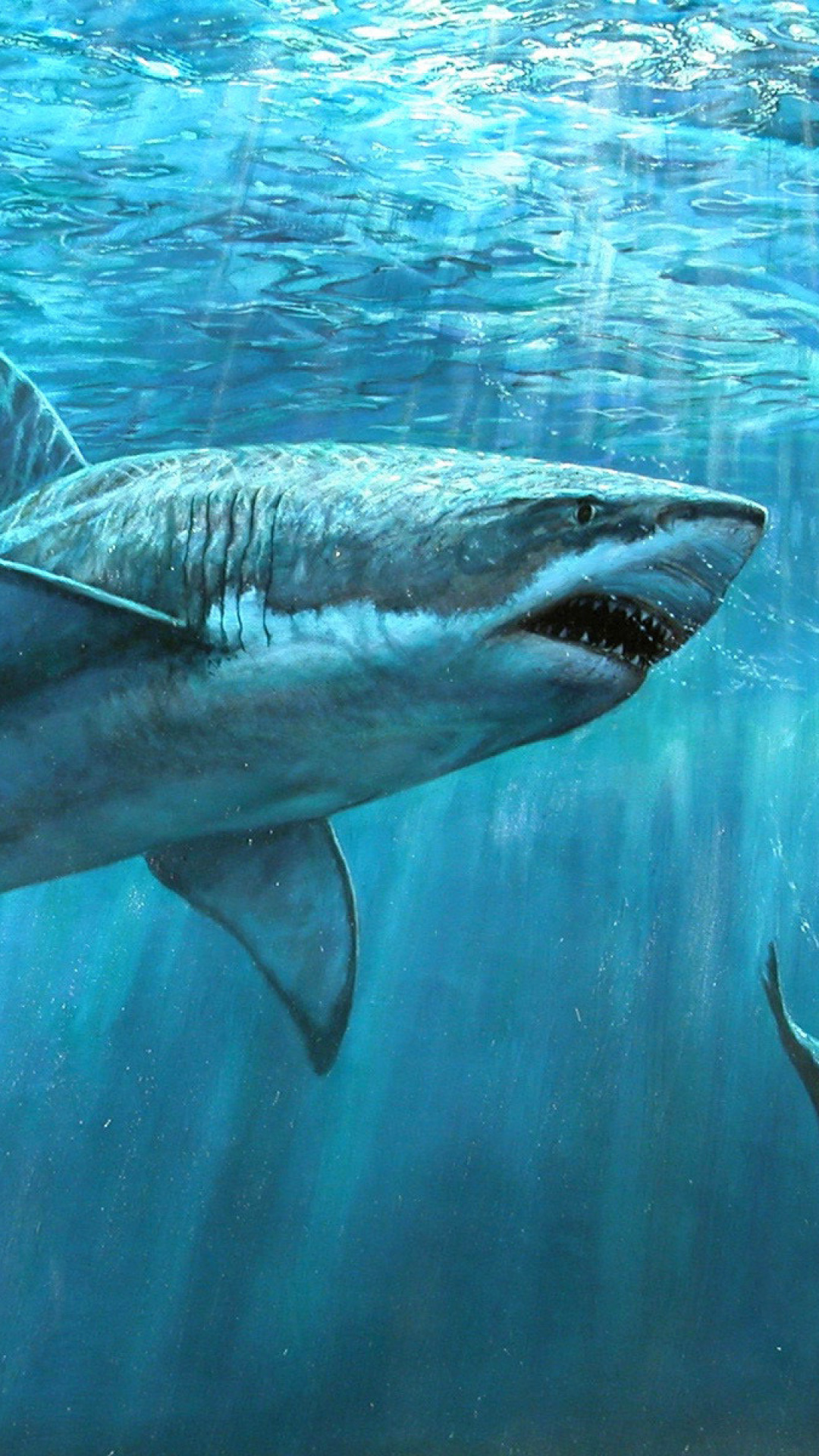 Das Shark Teeth Wallpaper 1080x1920