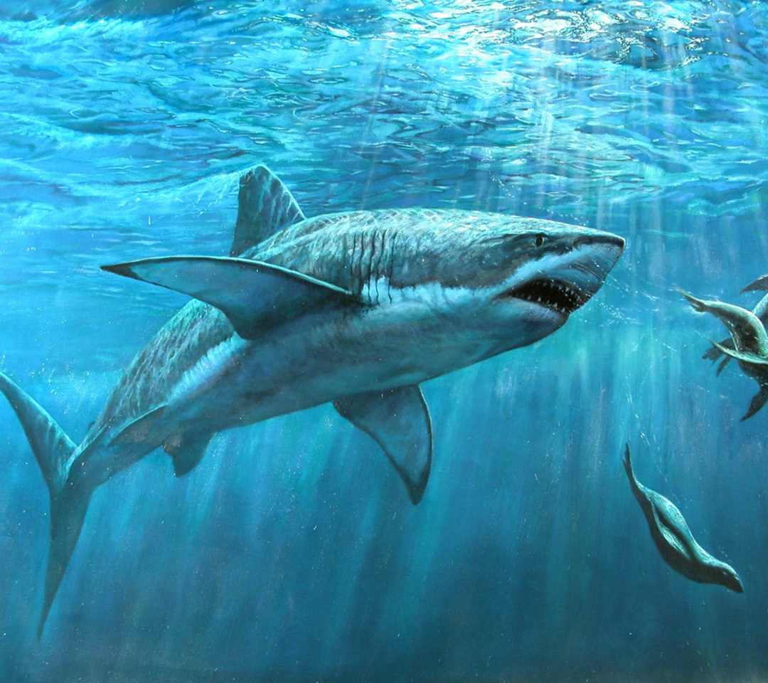 Das Shark Teeth Wallpaper 1080x960