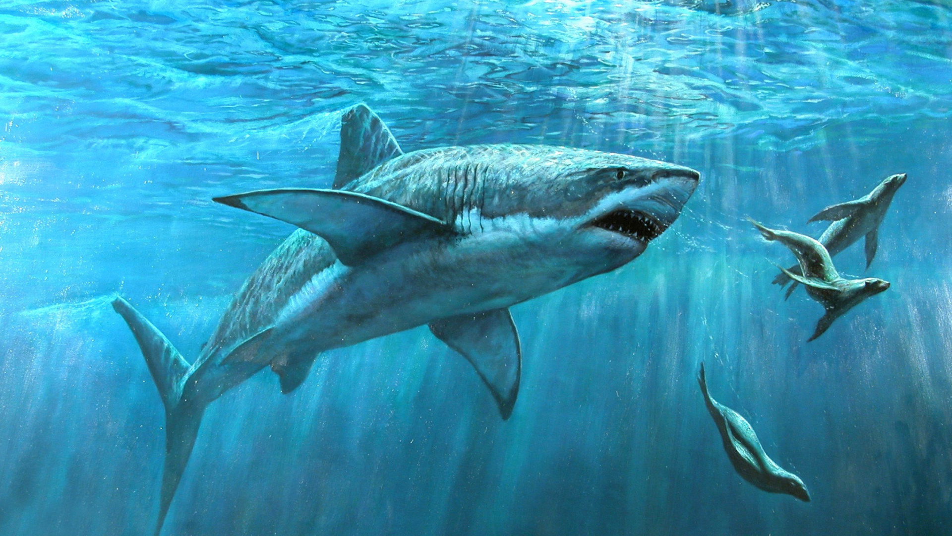Das Shark Teeth Wallpaper 1920x1080