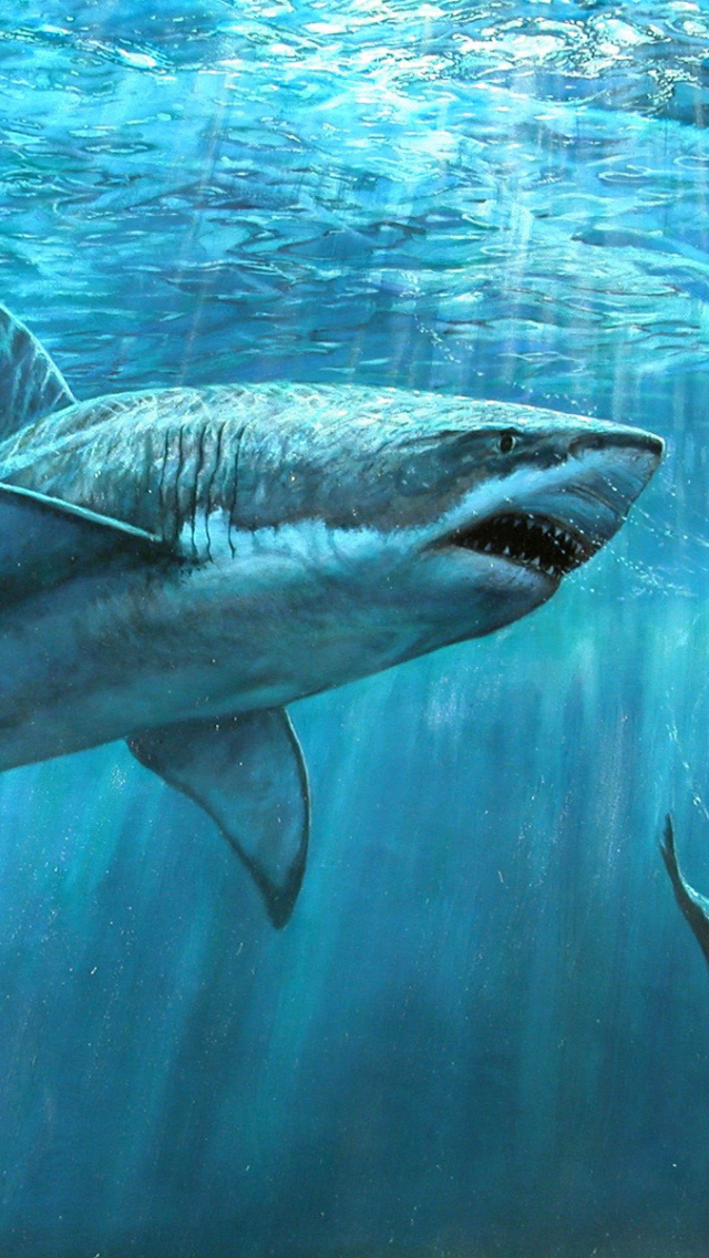 Обои Shark Teeth 640x1136