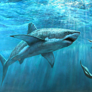 Shark Teeth - Obrázkek zdarma pro 128x128