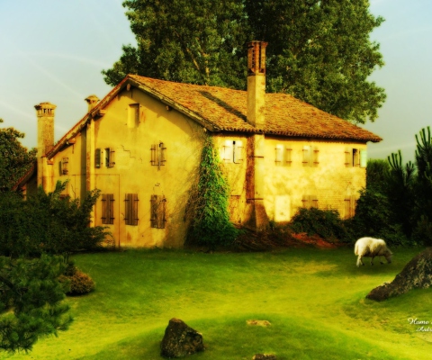 Village House screenshot #1 480x400