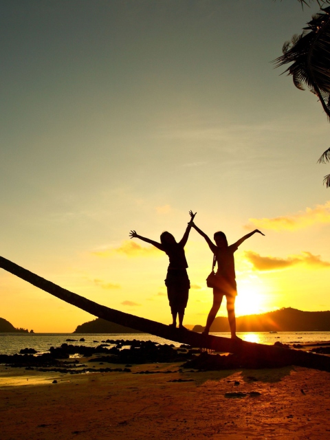 Screenshot №1 pro téma Couple On Beach At Sunset 480x640