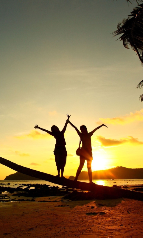 Screenshot №1 pro téma Couple On Beach At Sunset 480x800