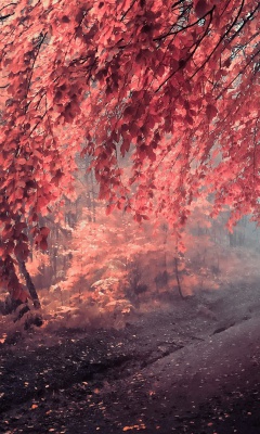 Art Autumn Season screenshot #1 240x400