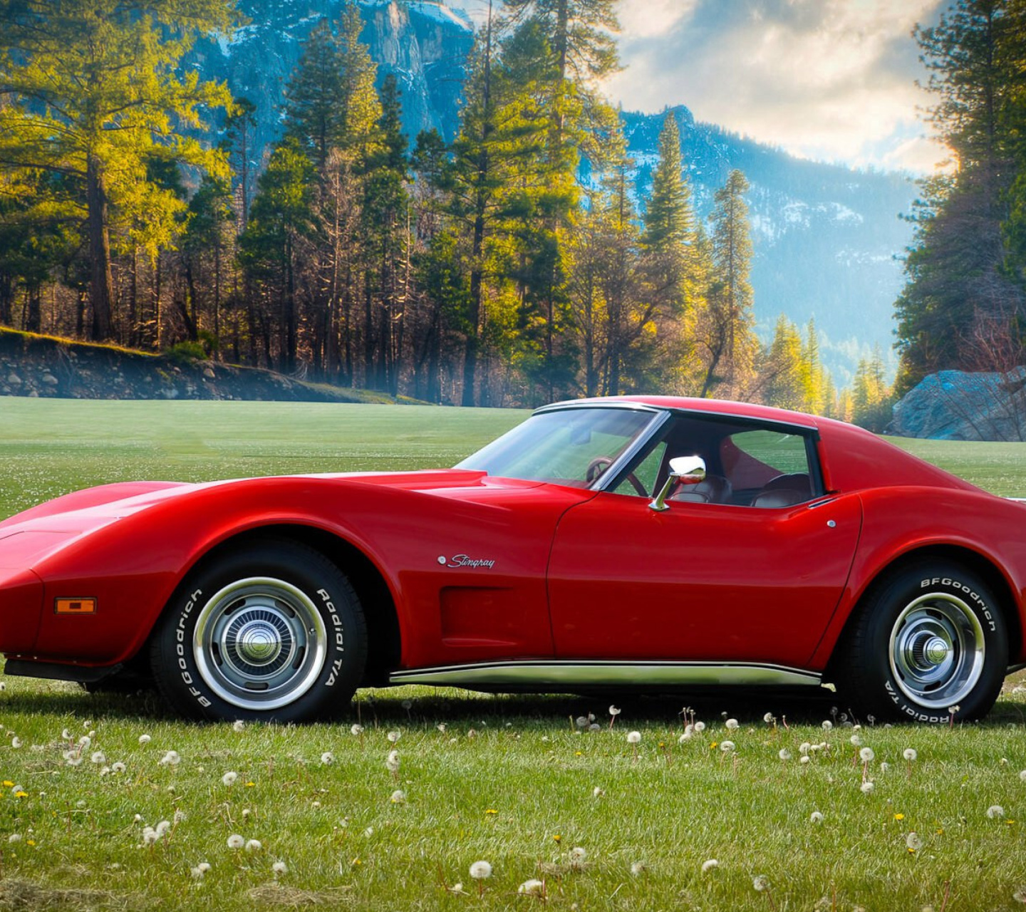 Обои Classic Corvette C3 1977 1440x1280