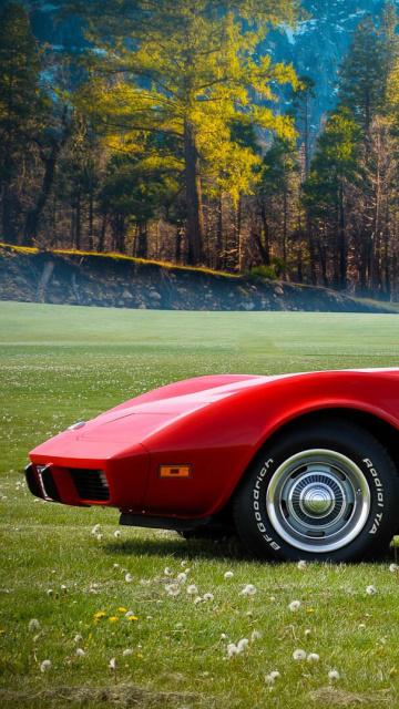 Fondo de pantalla Classic Corvette C3 1977 360x640