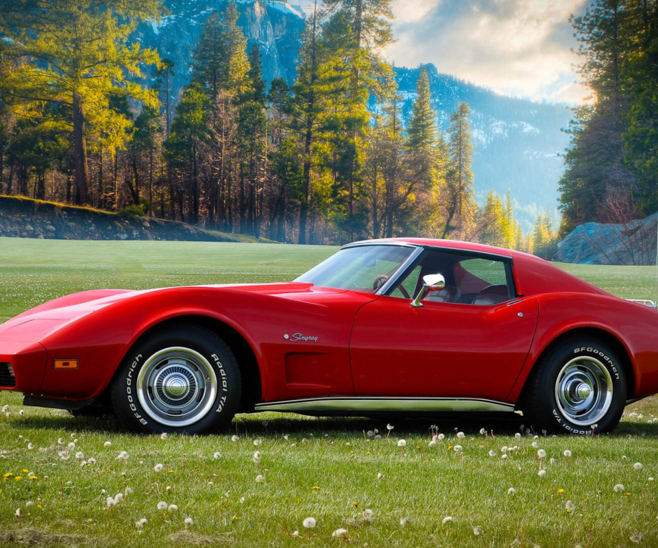 Обои Classic Corvette C3 1977 960x800