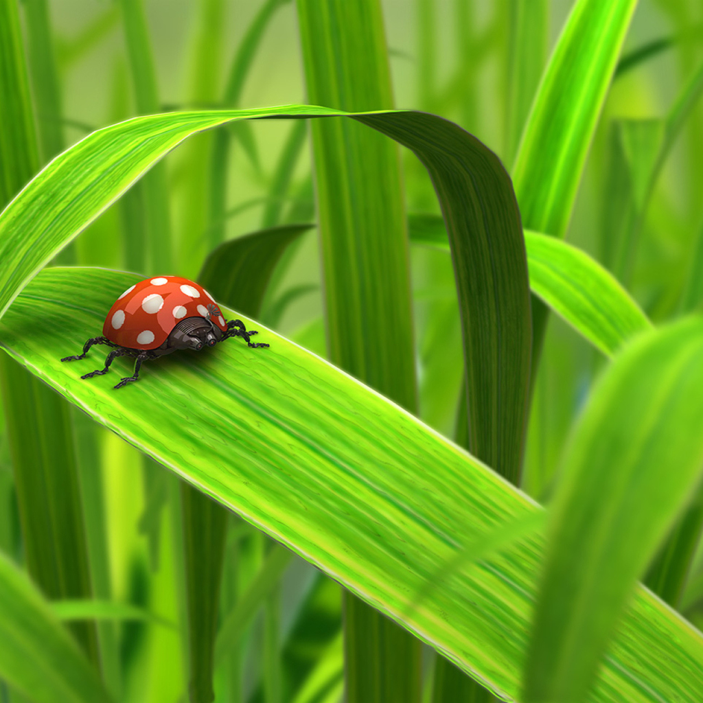 Red Ladybug On Green Grass screenshot #1 1024x1024