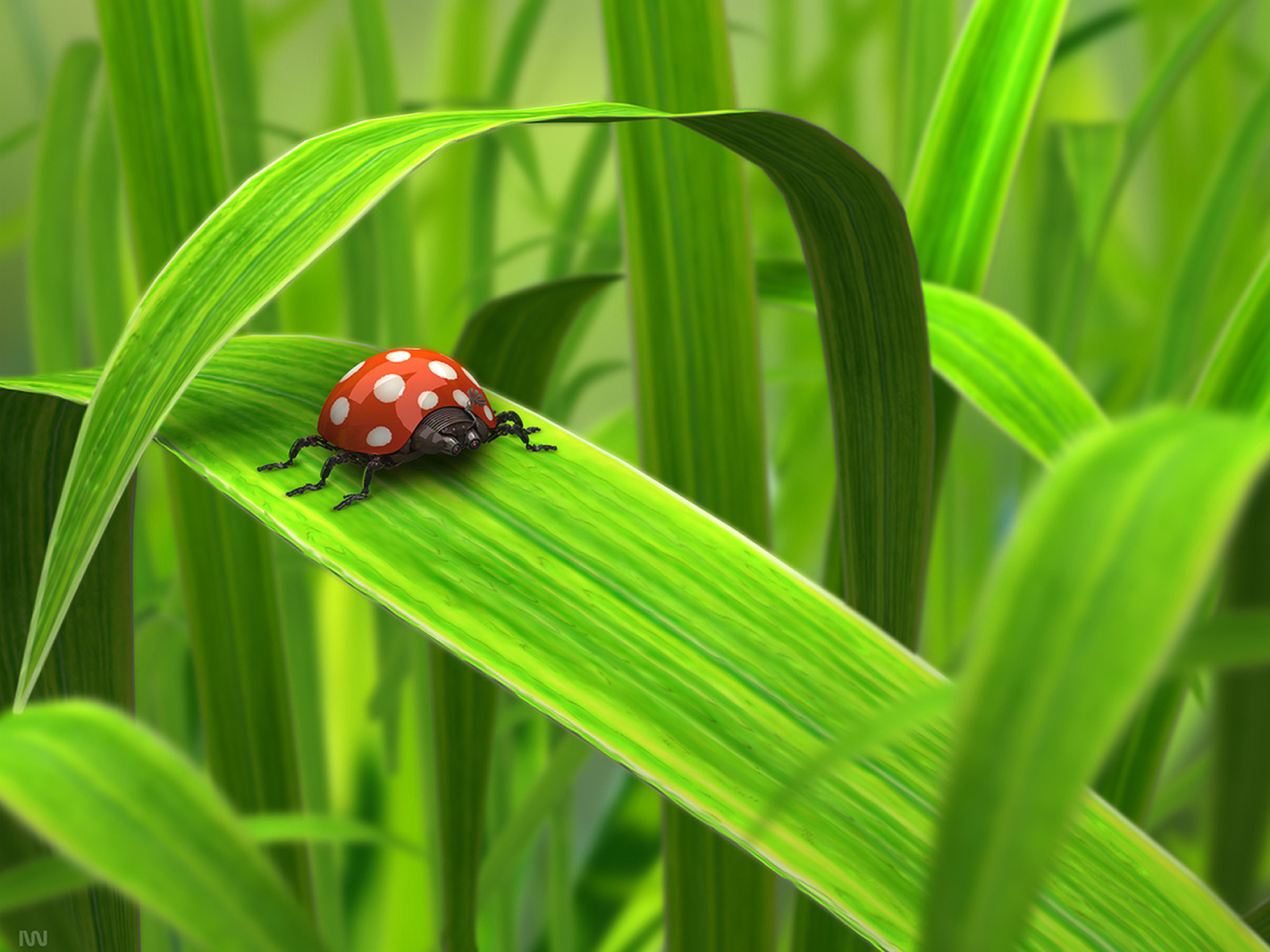 Обои Red Ladybug On Green Grass 1600x1200