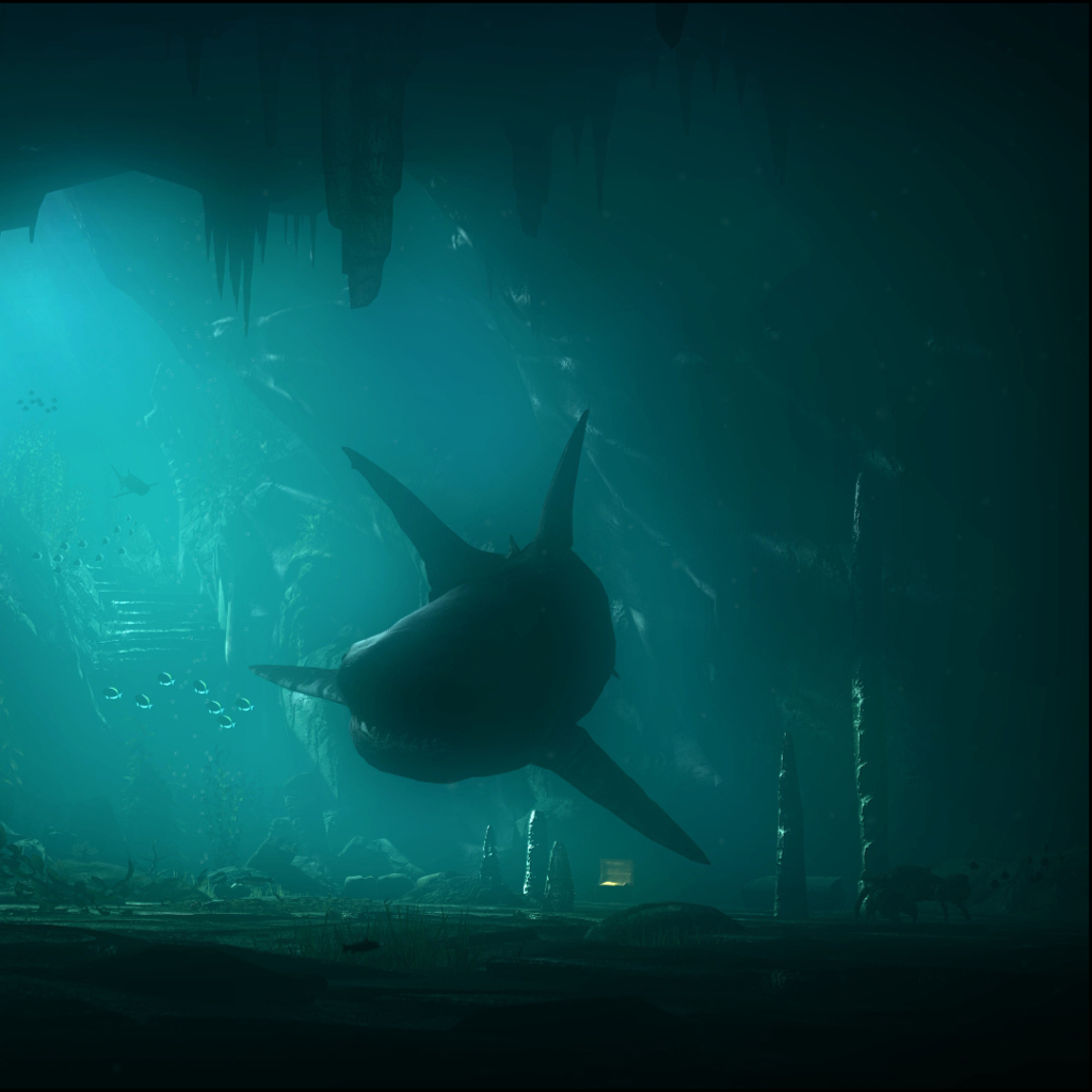 Das Shark Underwater Wallpaper 1024x1024