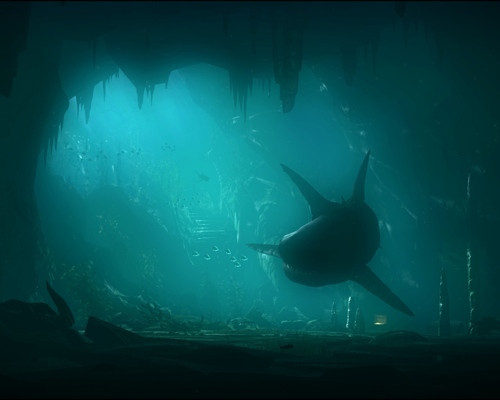 Обои Shark Underwater 1600x1280