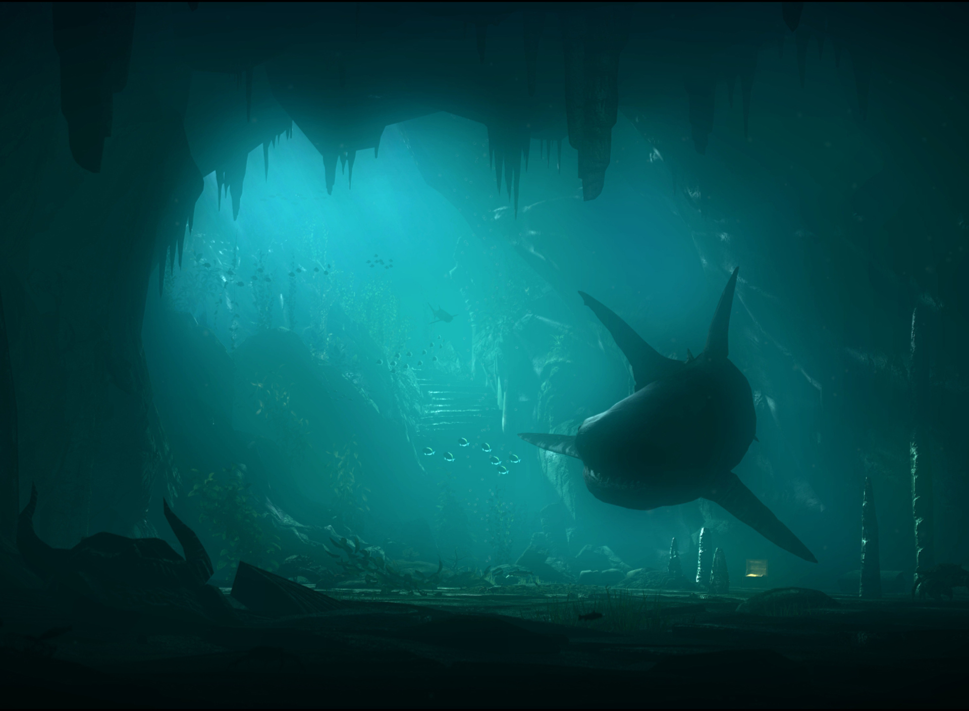 Fondo de pantalla Shark Underwater 1920x1408
