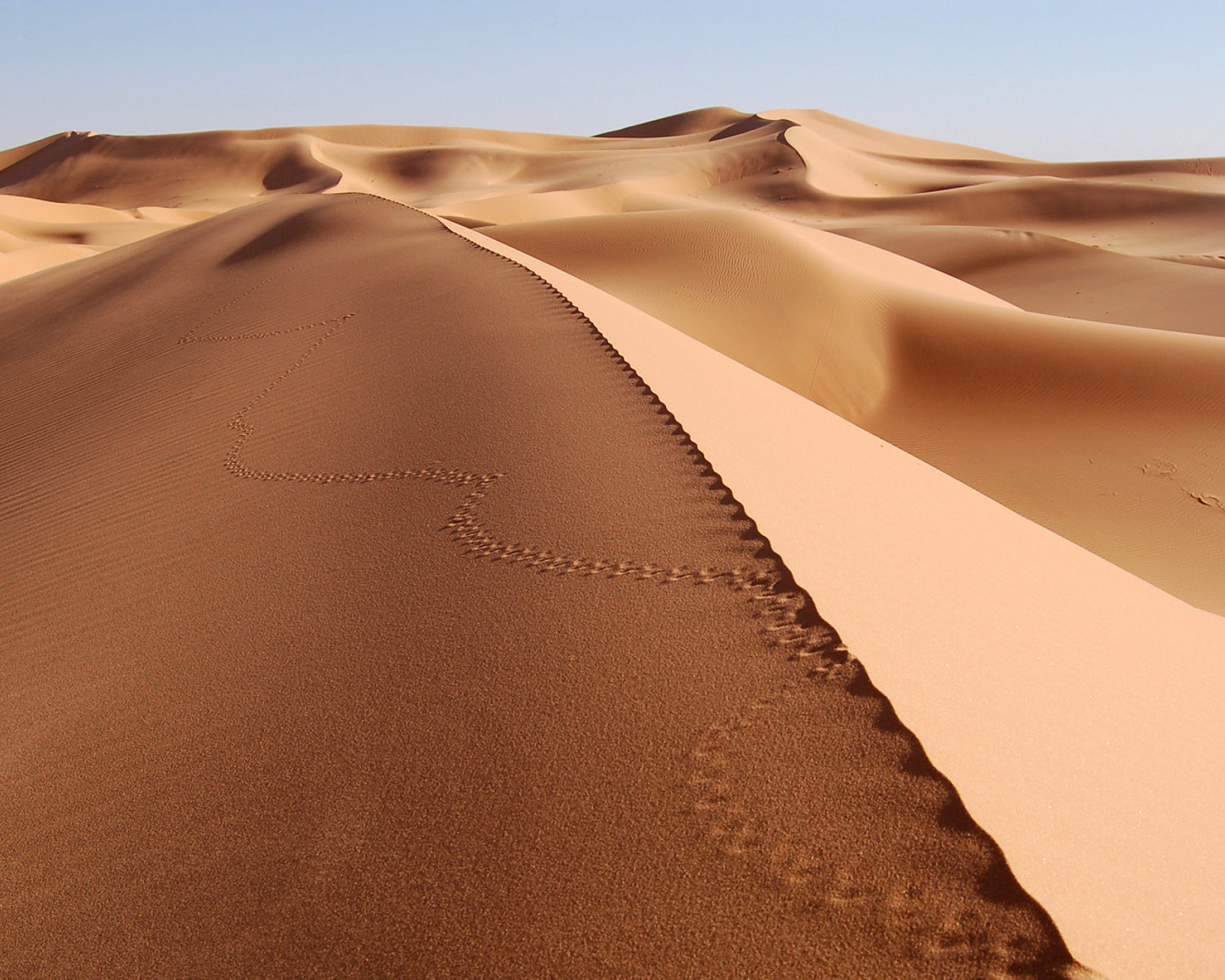 Desert Dunes In Angola And Namibia screenshot #1 1600x1280