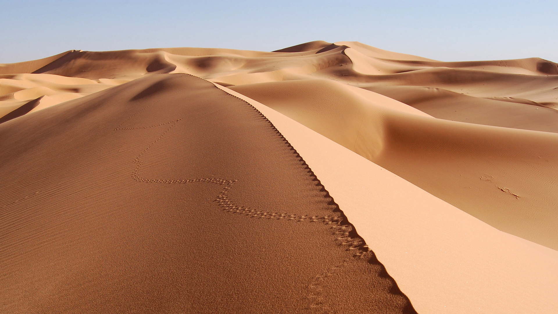 Screenshot №1 pro téma Desert Dunes In Angola And Namibia 1920x1080