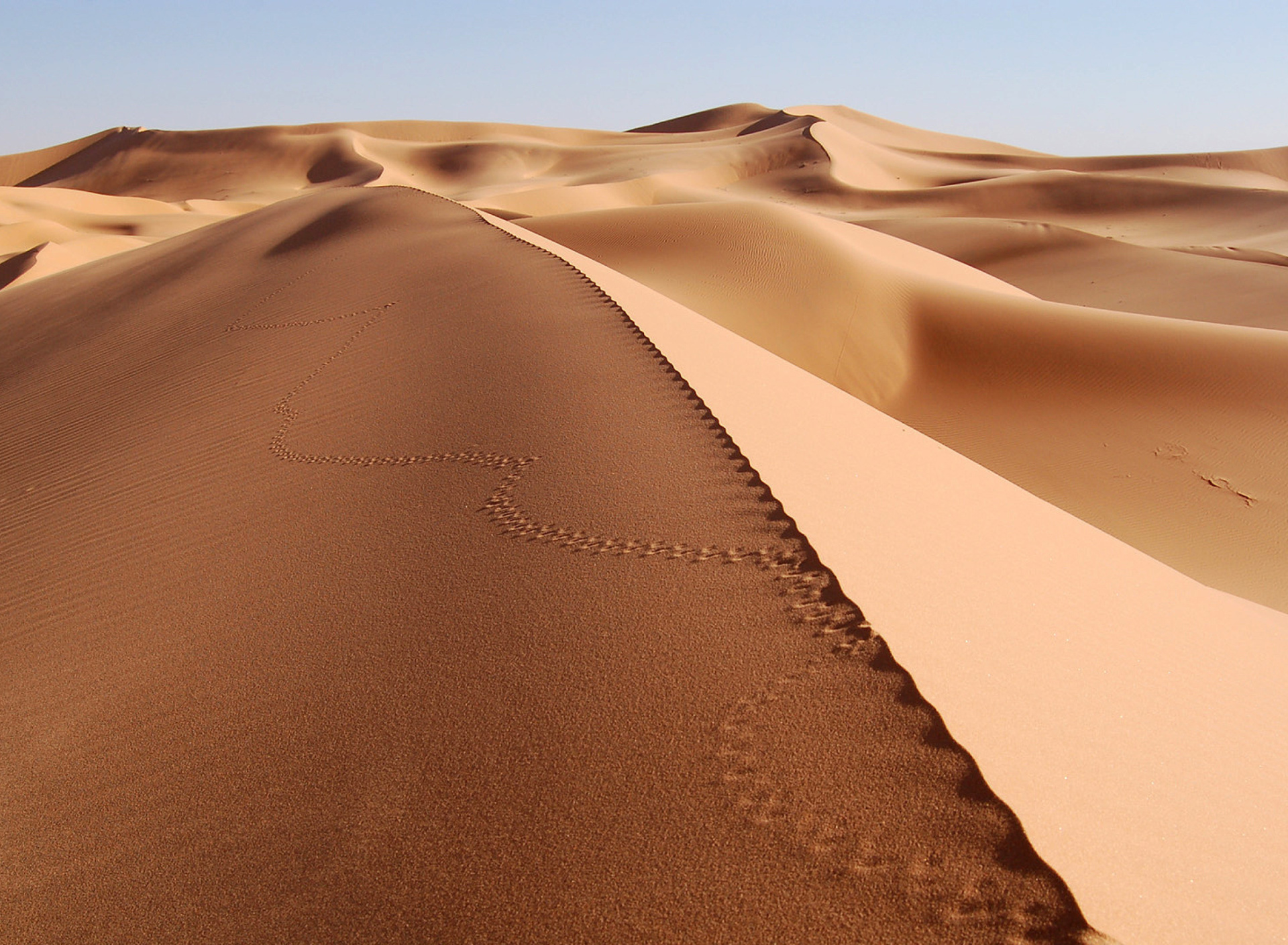 Screenshot №1 pro téma Desert Dunes In Angola And Namibia 1920x1408