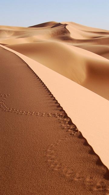 Обои Desert Dunes In Angola And Namibia 360x640