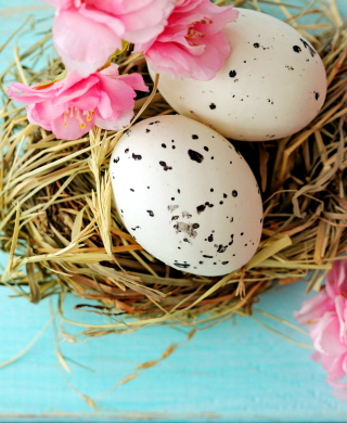 Creative Spring Easter Eggs - Fondos de pantalla gratis para Huawei G7300