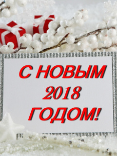 Screenshot №1 pro téma Happy New 2018 Year 240x320