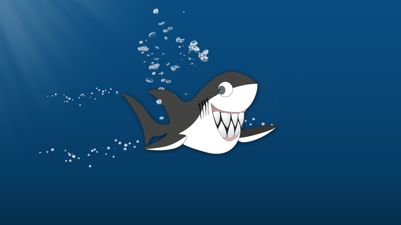 Das Funny Shark Wallpaper 1600x900