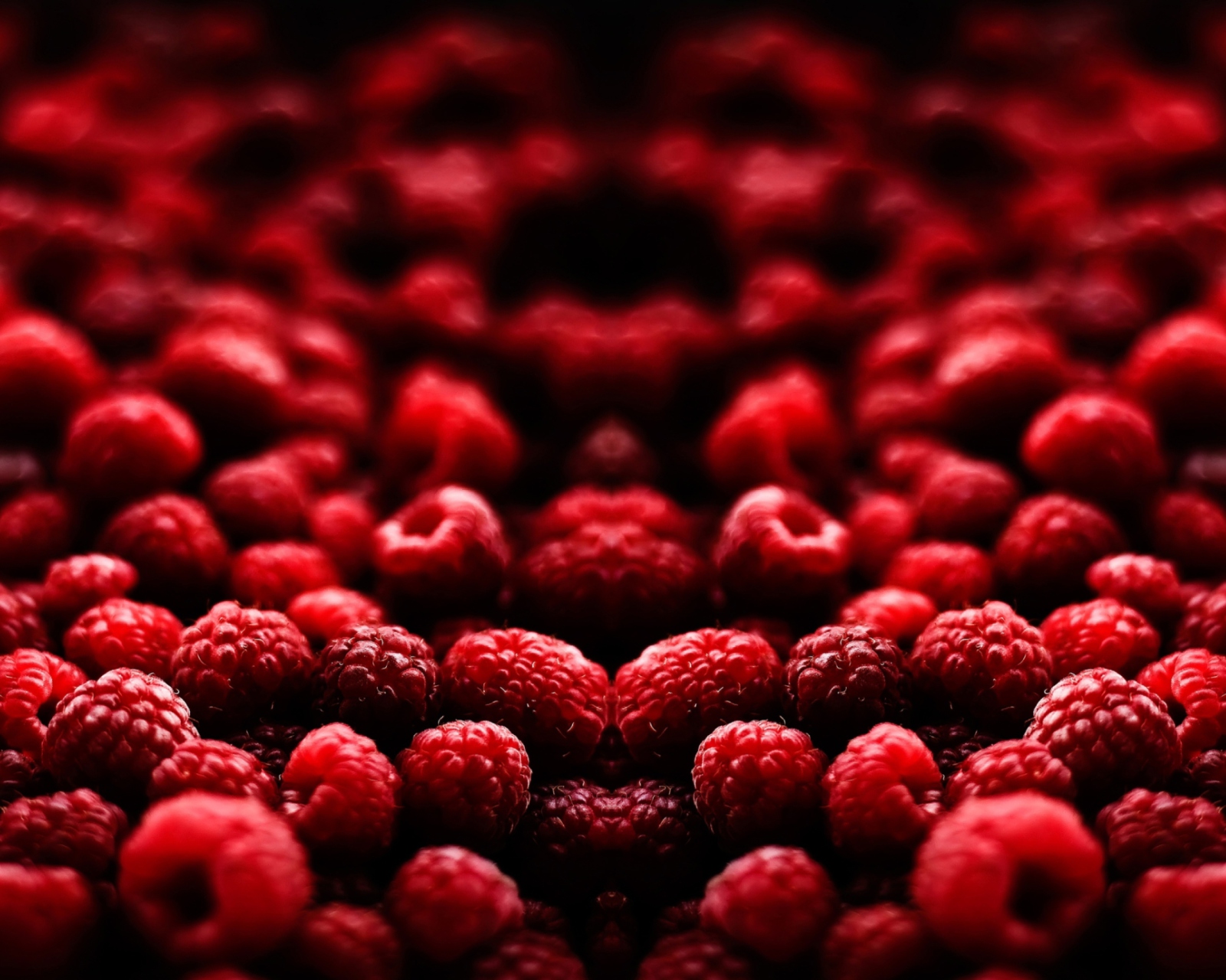 Das Raspberries Wallpaper 1600x1280