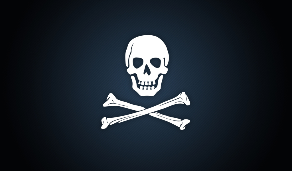 Fondo de pantalla Cyber Pirate Skull 1024x600