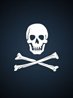 Cyber Pirate Skull wallpaper 240x320