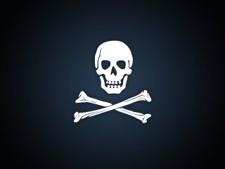 Обои Cyber Pirate Skull 320x240