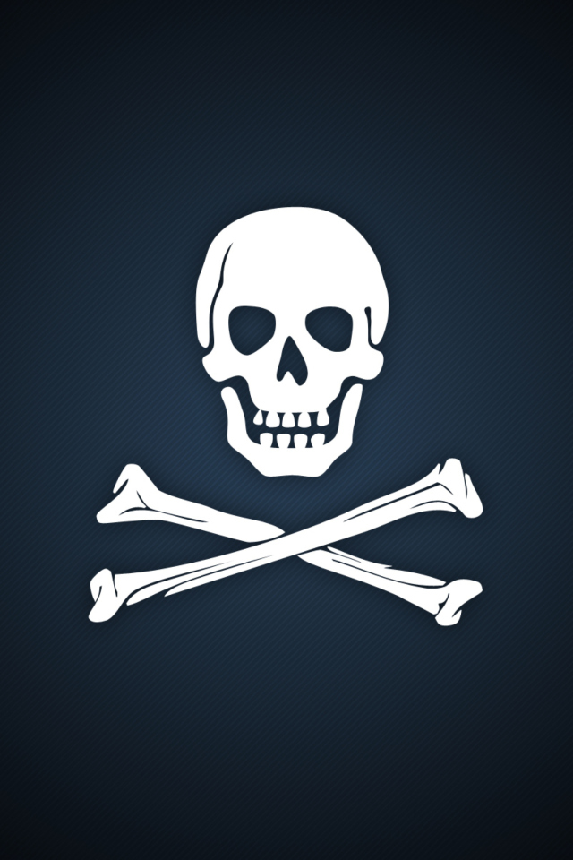 Cyber Pirate Skull wallpaper 640x960