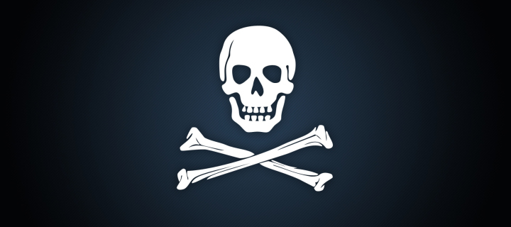 Sfondi Cyber Pirate Skull 720x320