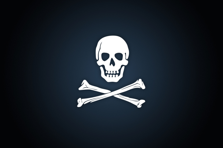 Cyber Pirate Skull wallpaper