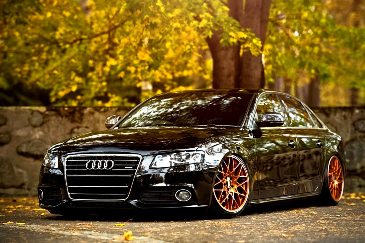 Screenshot №1 pro téma Audi A4 with New Rims