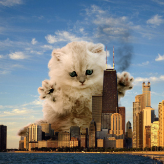Dangerous Cat - Obrázkek zdarma pro iPad Air