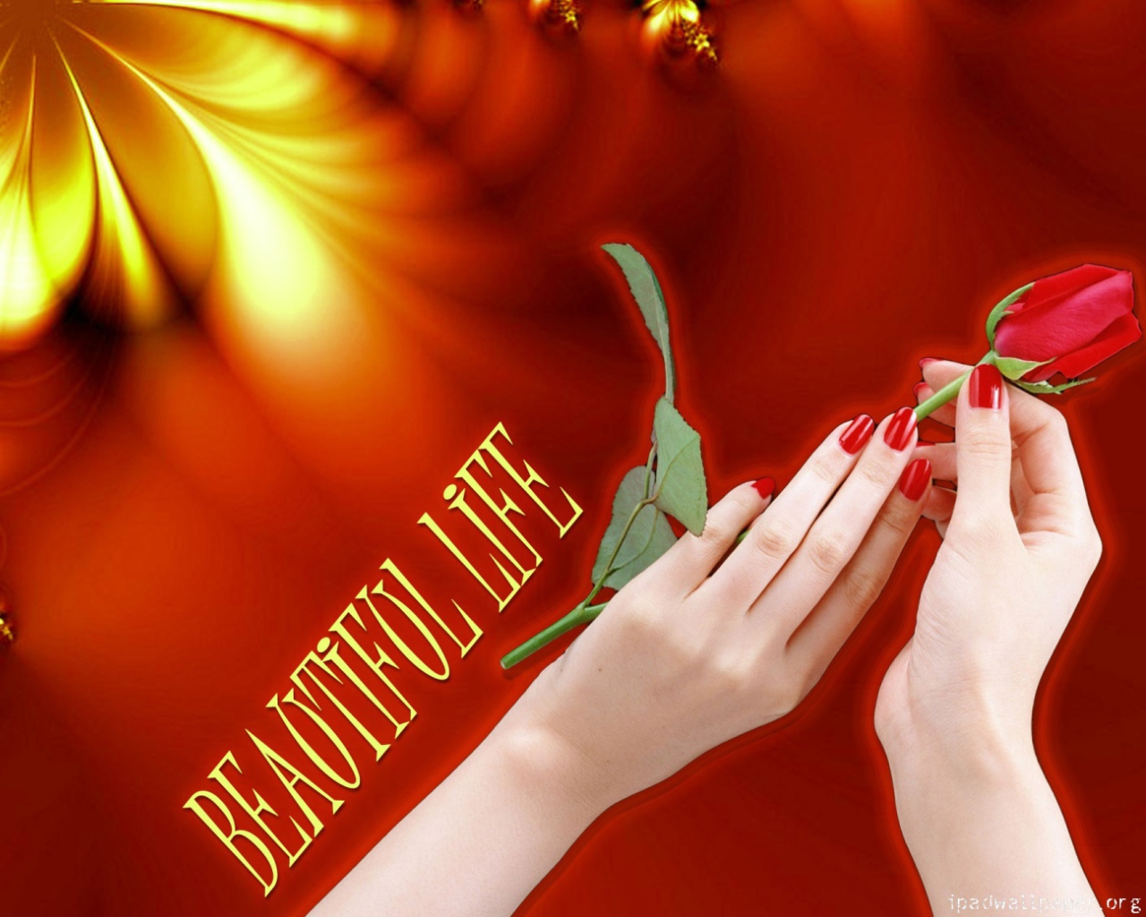 Beautiful Life wallpaper 1280x1024